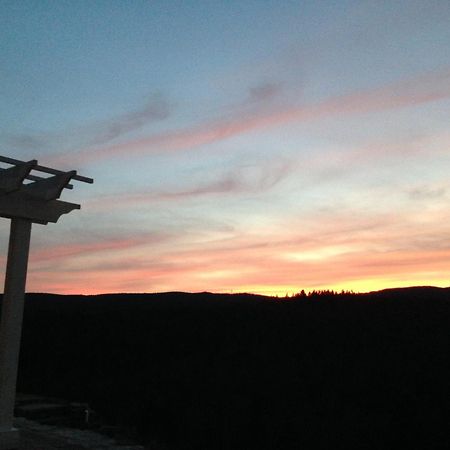 Adams Hill House Retreat - Artist-Architect'S Estate, Newfane Vermont Экстерьер фото